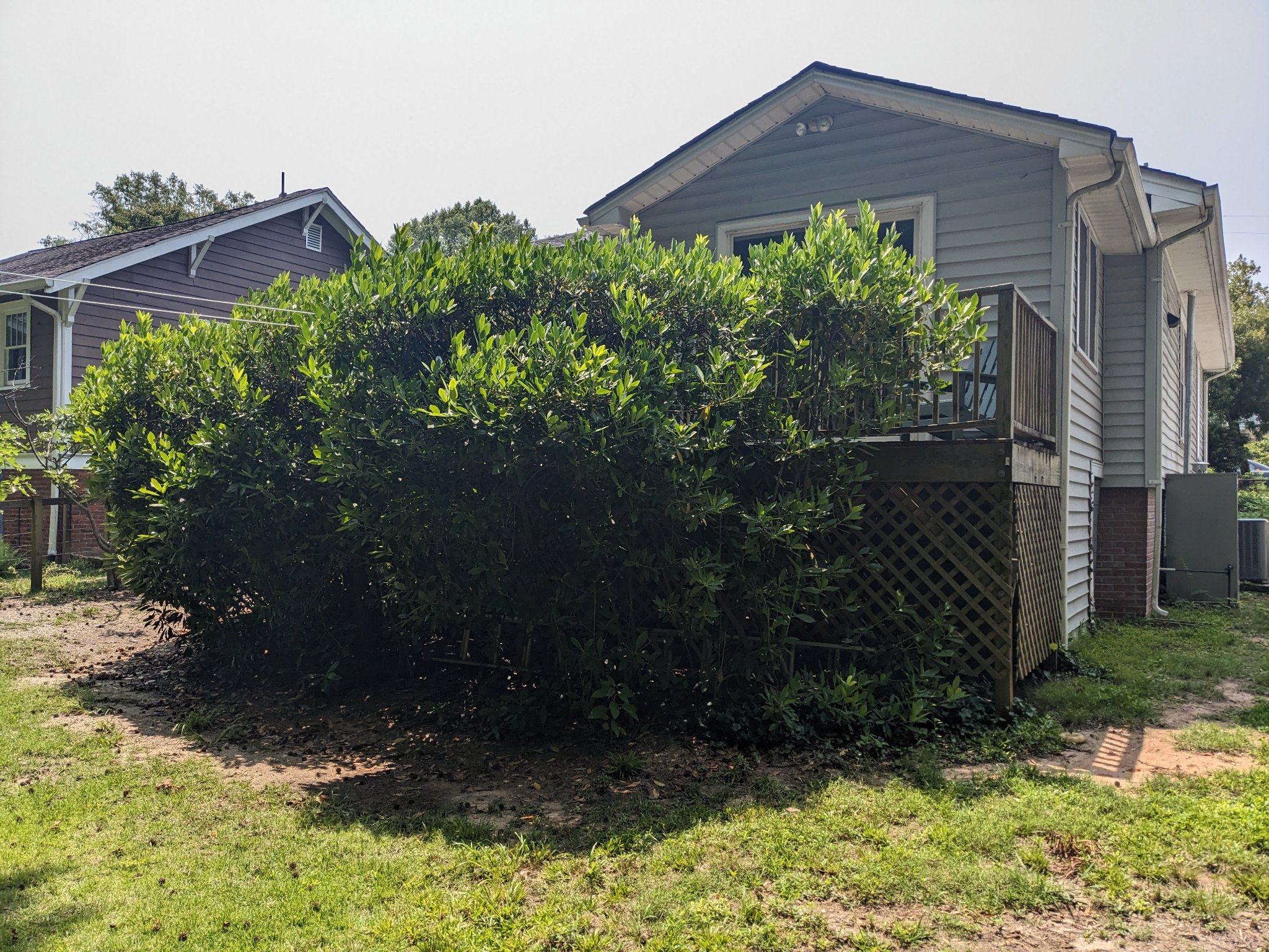 Rear of home with overgrown shrubs and original deck before screened porch addition in Durham NC